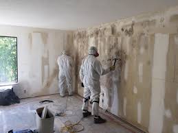  , FL Mold Prevention & Removal Pros